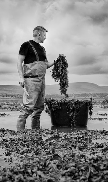 Voya Seaweed Baths Founders